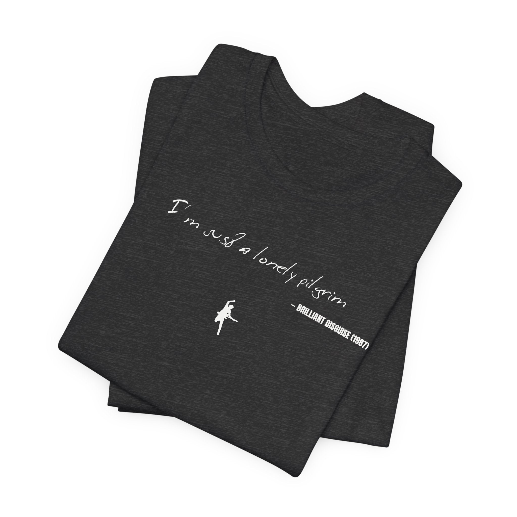 I'm just a lonely pilgrim - Brilliant Disguise