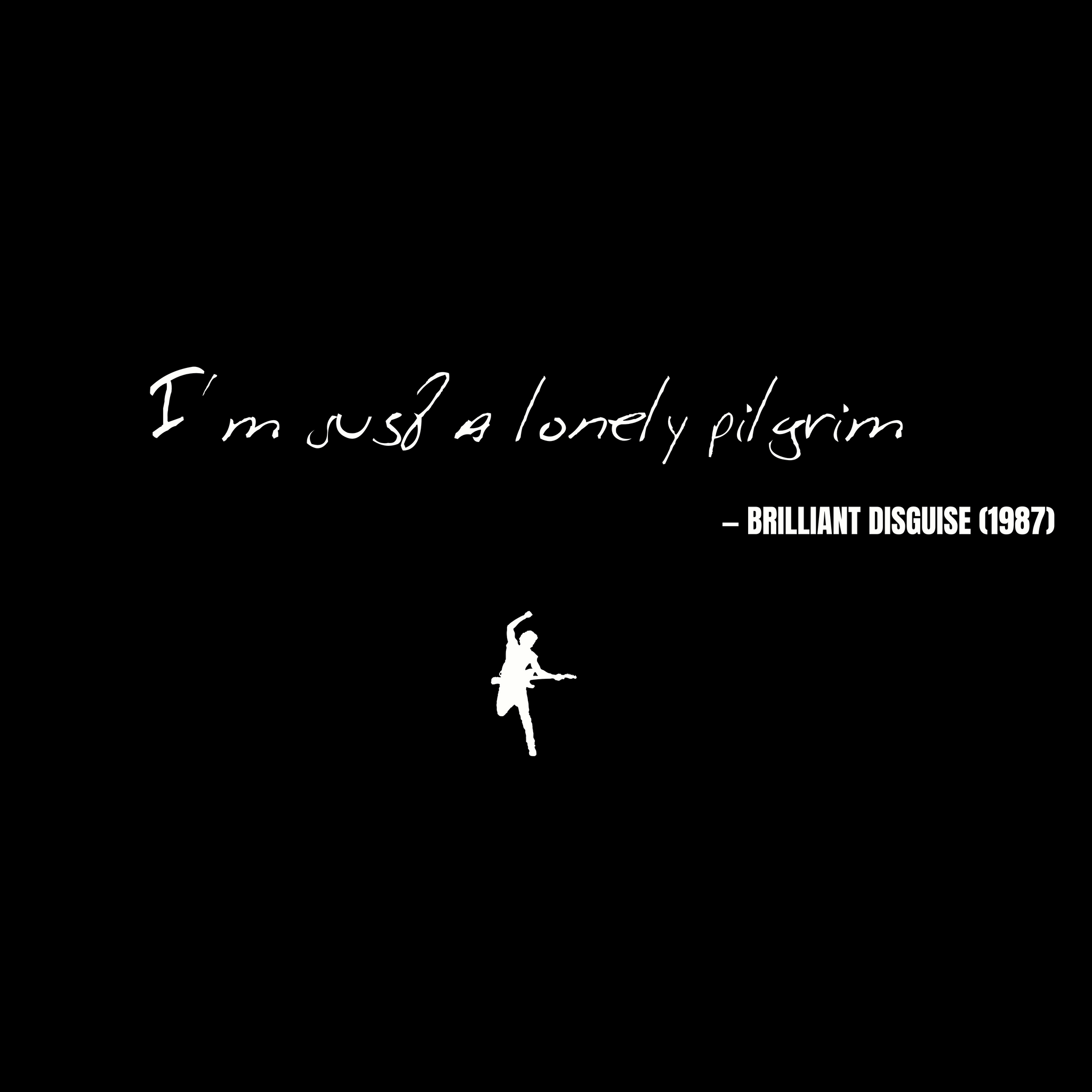 I'm just a lonely pilgrim - Brilliant Disguise