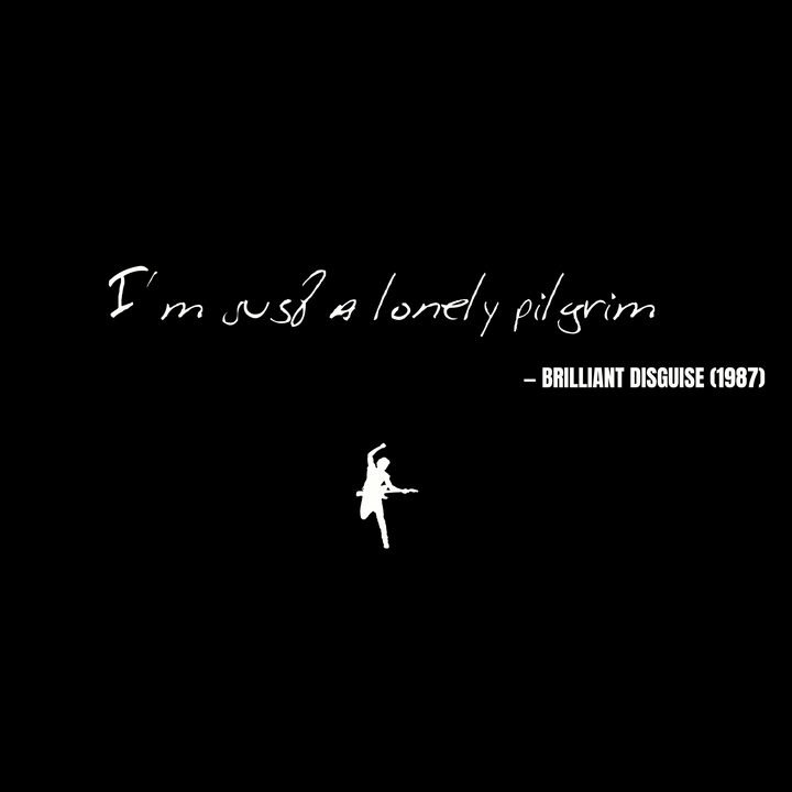 I'm just a lonely pilgrim - Brilliant Disguise