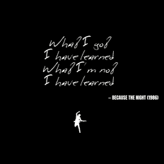 What I got I have learned What I'm not I have learned - Because the Night