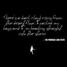 There's a dark cloud rising from the desert floor, I packed my bags and I'm heading straight into the storm - The Promised Land